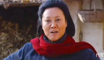 王丽云演过的电视剧,从还珠格格到人民的名义的精彩演绎