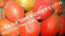 吃瓜天堂吃瓜网,带你领略网络吃瓜文化的魅力