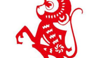 属猴人2014年运势,属猴人运势详解与展望