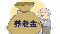 退休养老金,保障晚年生活，构建和谐社会的坚实基石