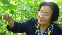 娱乐吃瓜君说二豆,二豆背后的故事与真相