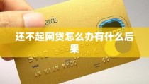 还不起网贷怎么办有什么后果2025年5月24日