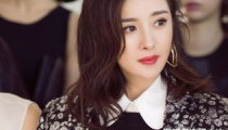 娱乐圈421是什么,揭秘明星背后的秘密与真相