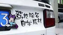 网红车贴吃瓜猫,揭秘其背后的故事与魅力