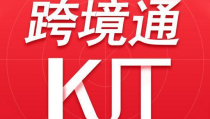 跨境通,助力企业拓展全球市场的创新解决方案